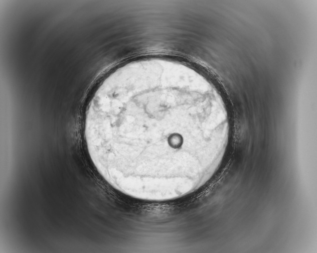 X0000095931314200802011013