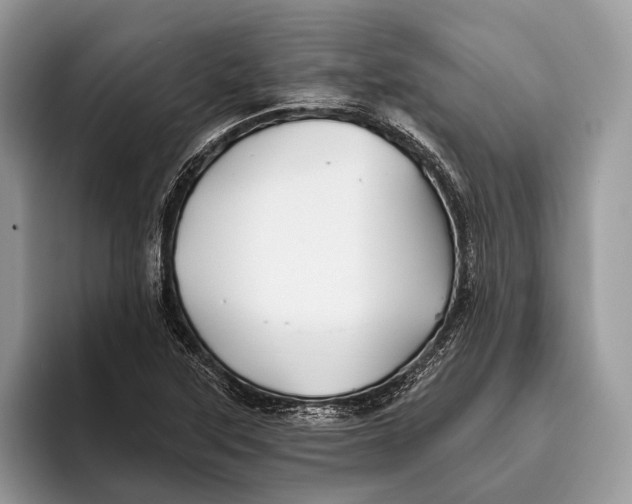 X0000095931315200802011013