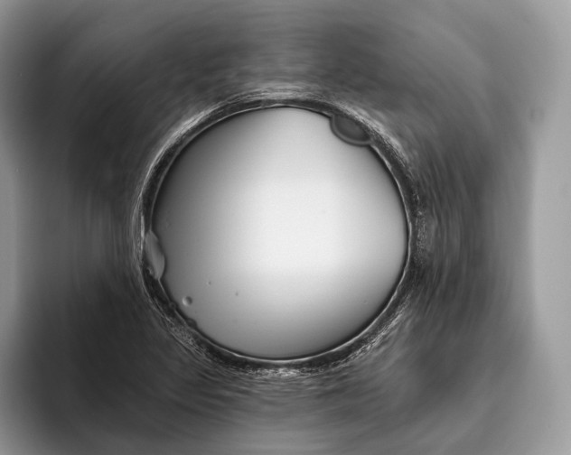 X0000095931317200802011013
