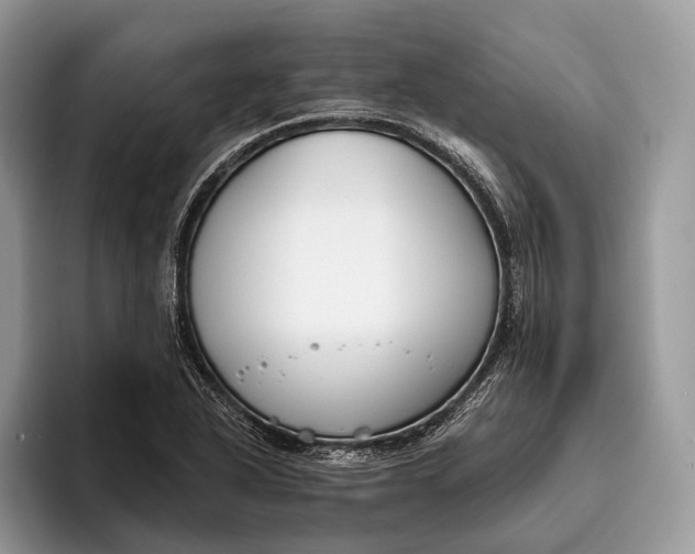 X0000095931318200802011013