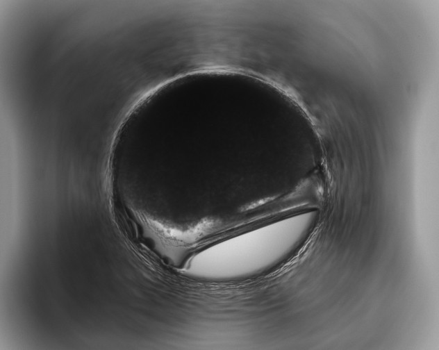 X0000095931319200802011013