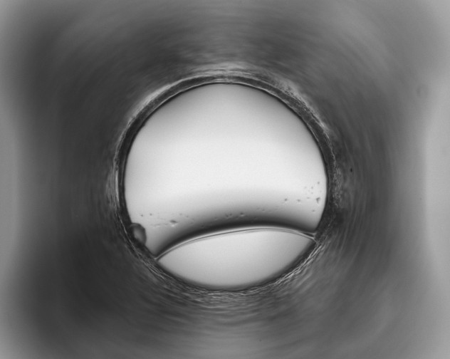 X0000095931320200802011013