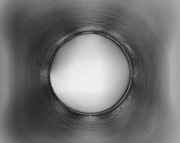 X0000095931321200802011013