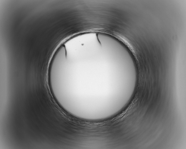 X0000095931324200802011013