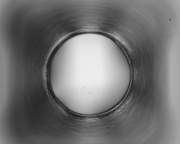 X0000095931325200802011013