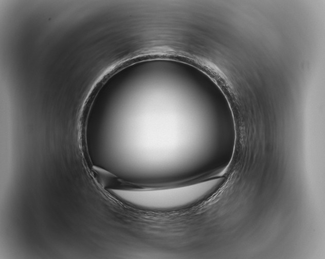 X0000095931326200802011013