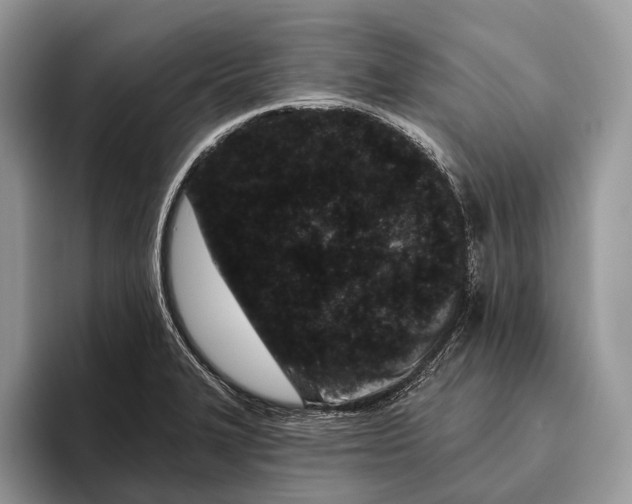 X0000095931327200802011013