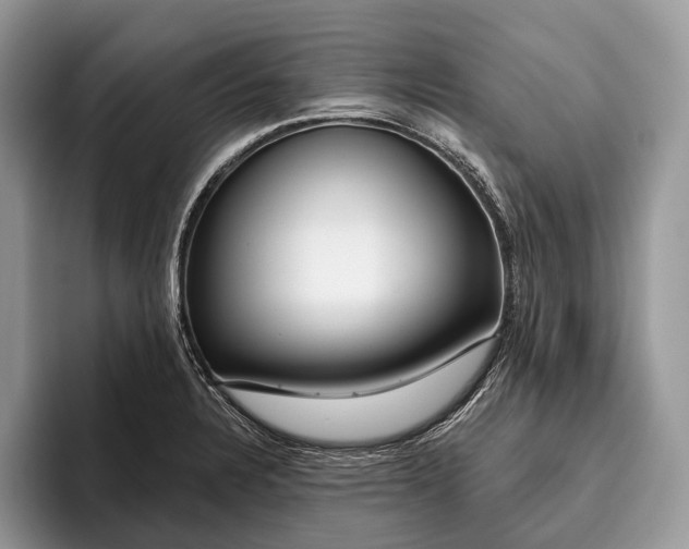X0000095931328200802011013