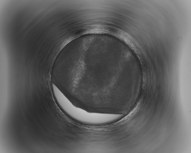 X0000095931329200802011013