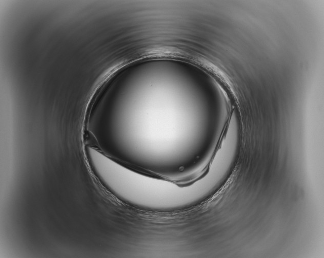 X0000095931330200802011013