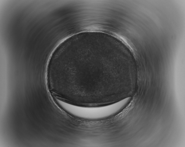 X0000095931331200802011013
