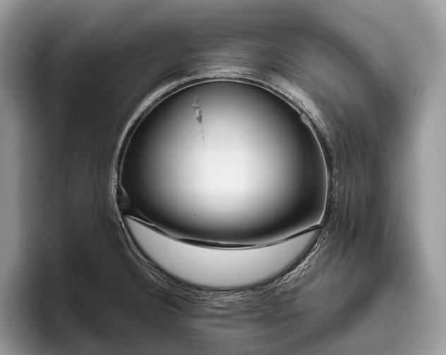 X0000095931332200802011013
