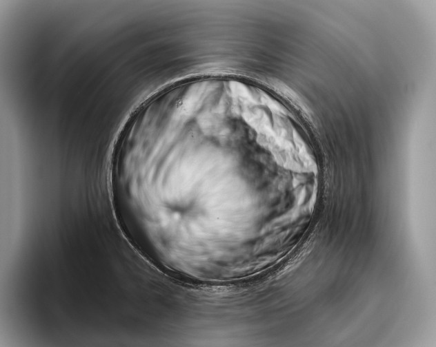 X0000095931334200802011013