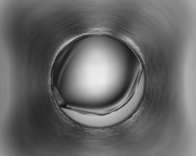 X0000095931336200802011013
