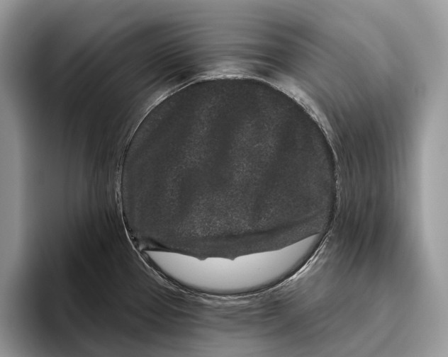 X0000095931337200802011013