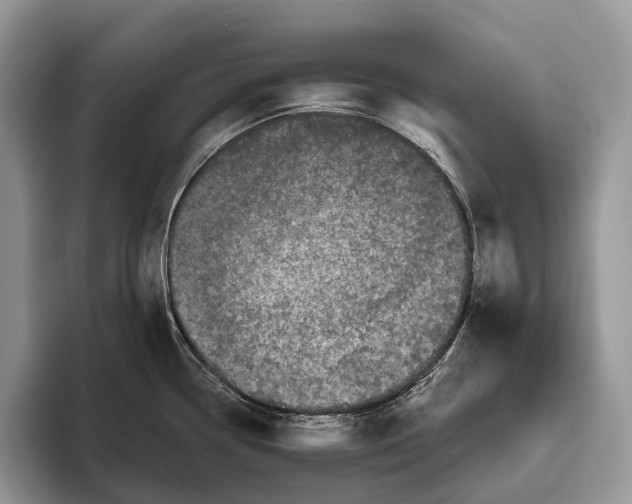 X0000095931338200802011013