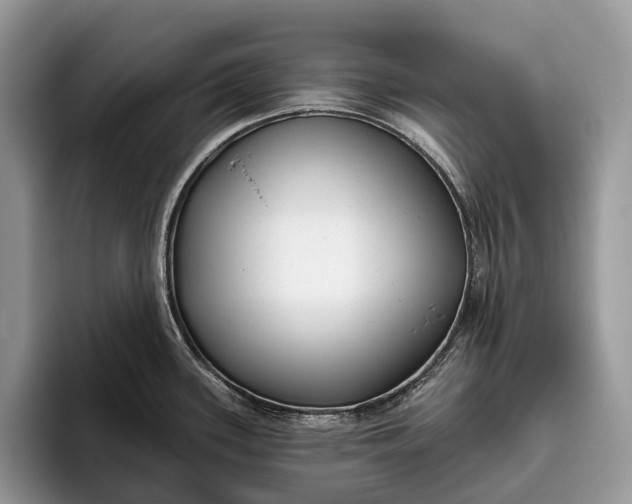 X0000095931339200802011013