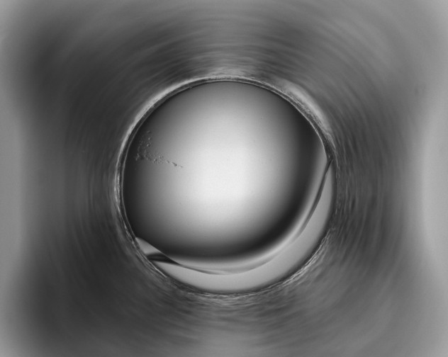 X0000095931340200802011013