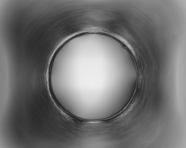 X0000095931343200802011013