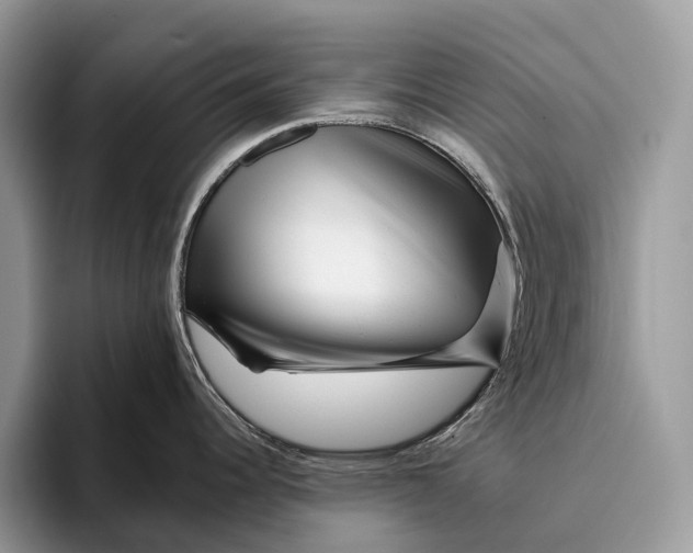 X0000095931344200802011013