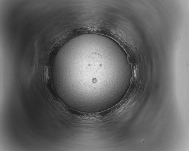 X0000095931347200802011013