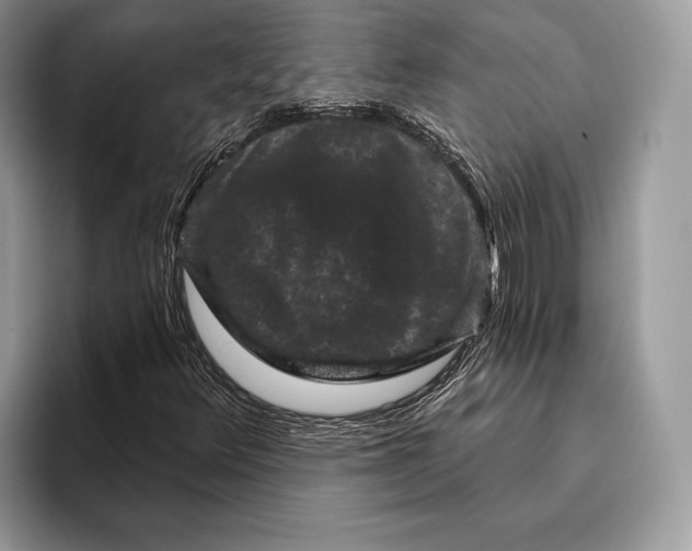 X0000095931348200802011013