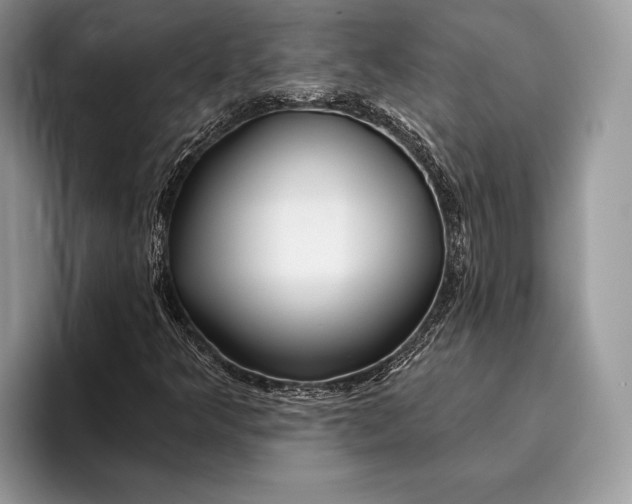 X0000095931349200802011013