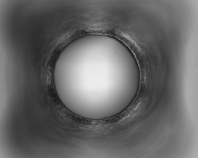 X0000095931350200802011013