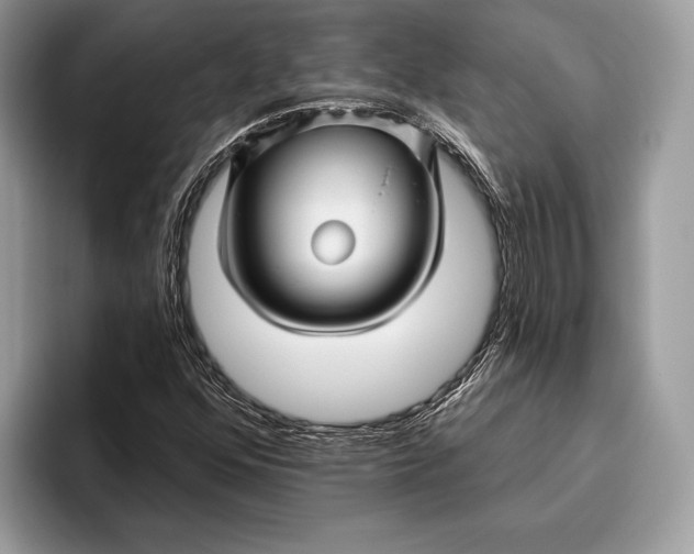 X0000095931352200802011013