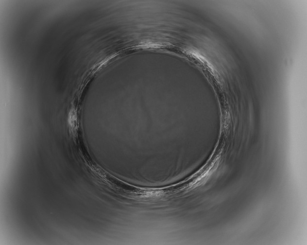 X0000095931353200802011013