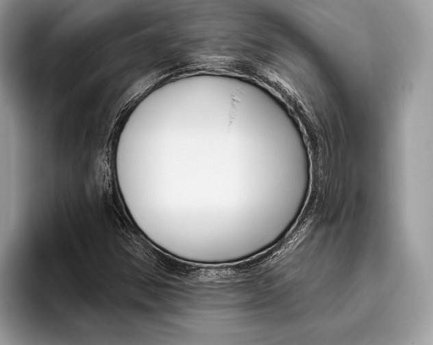 X0000095931354200802011013