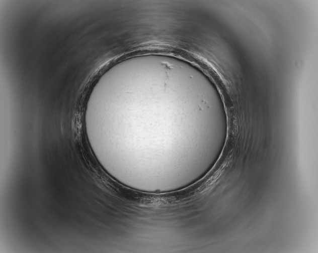 X0000095931355200802011013