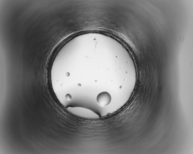 X0000095931356200802011013