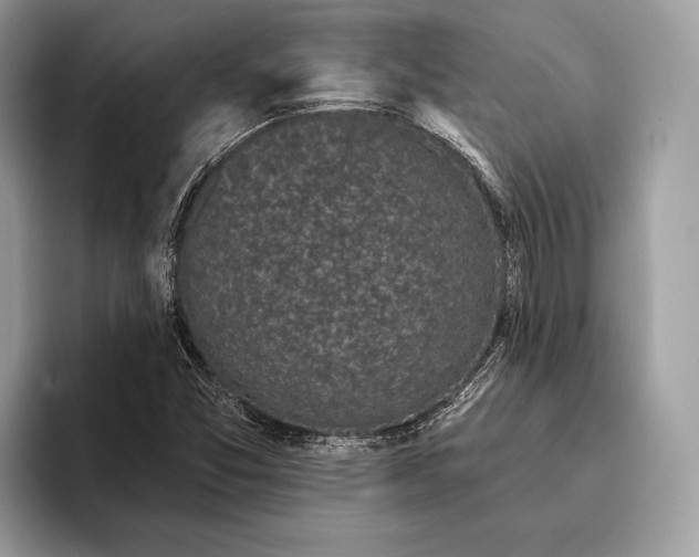 X0000095931357200802011013