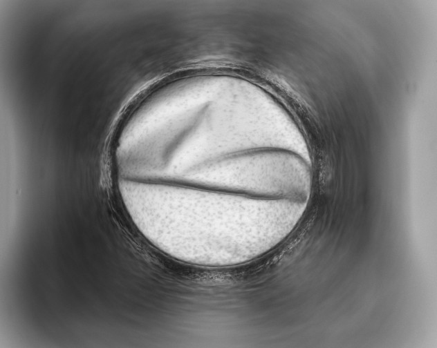 X0000095931358200802011013