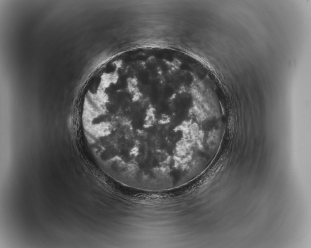 X0000095931359200802011013