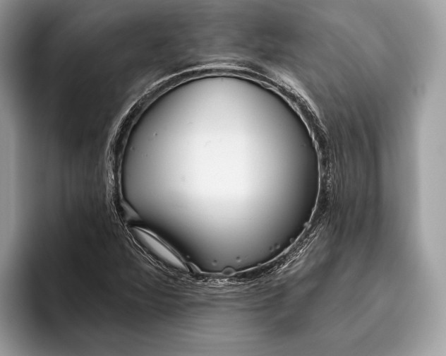 X0000095931360200802011013