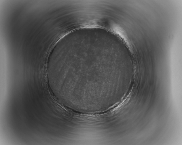 X0000095931361200802011013