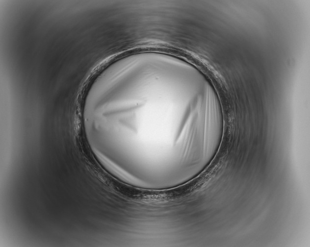 X0000095931363200802011013