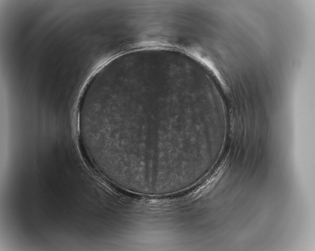 X0000095931365200802011013