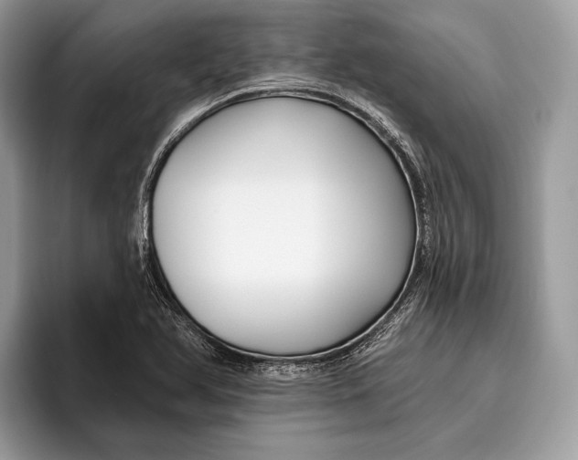 X0000095931366200802011013