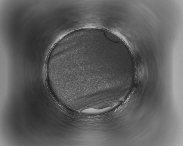 X0000095931367200802011013