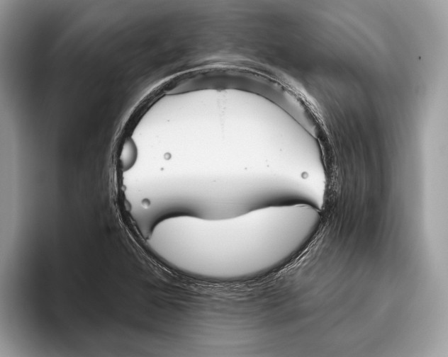 X0000095931368200802011012
