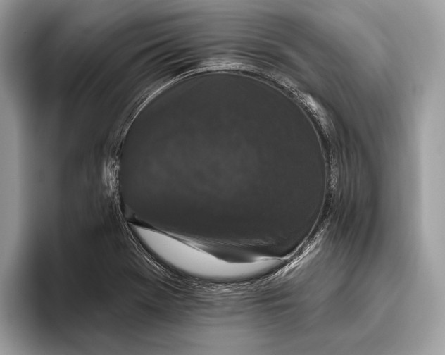 X0000095931369200802011012