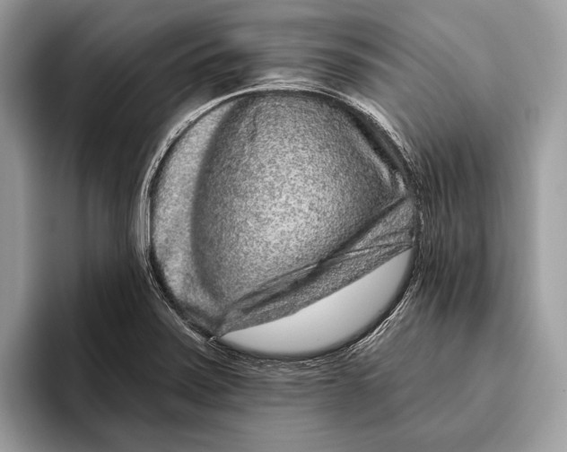 X0000095931371200802011012