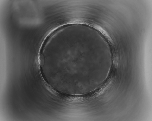 X0000095931372200802011012