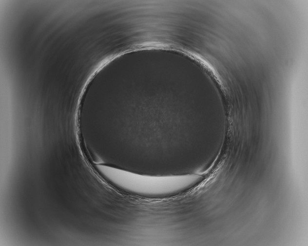 X0000095931373200802011012