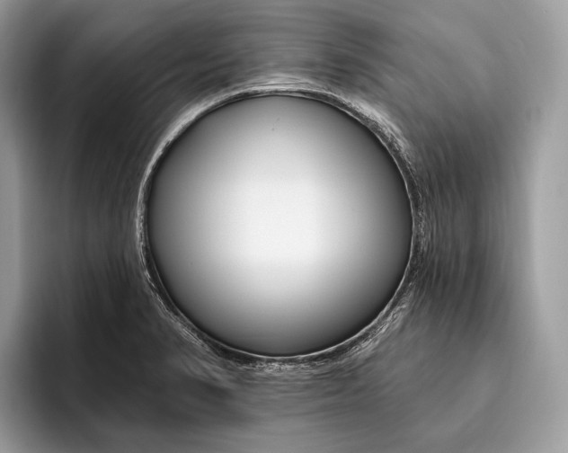 X0000095931374200802011012
