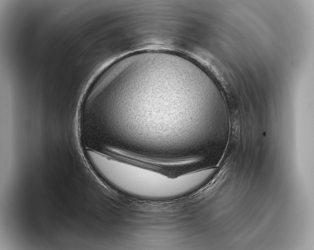 X0000095931375200802011012