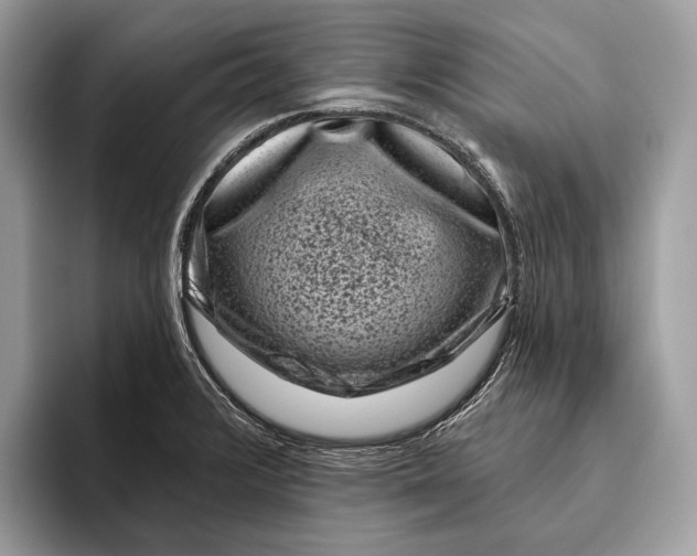 X0000095931376200802011012